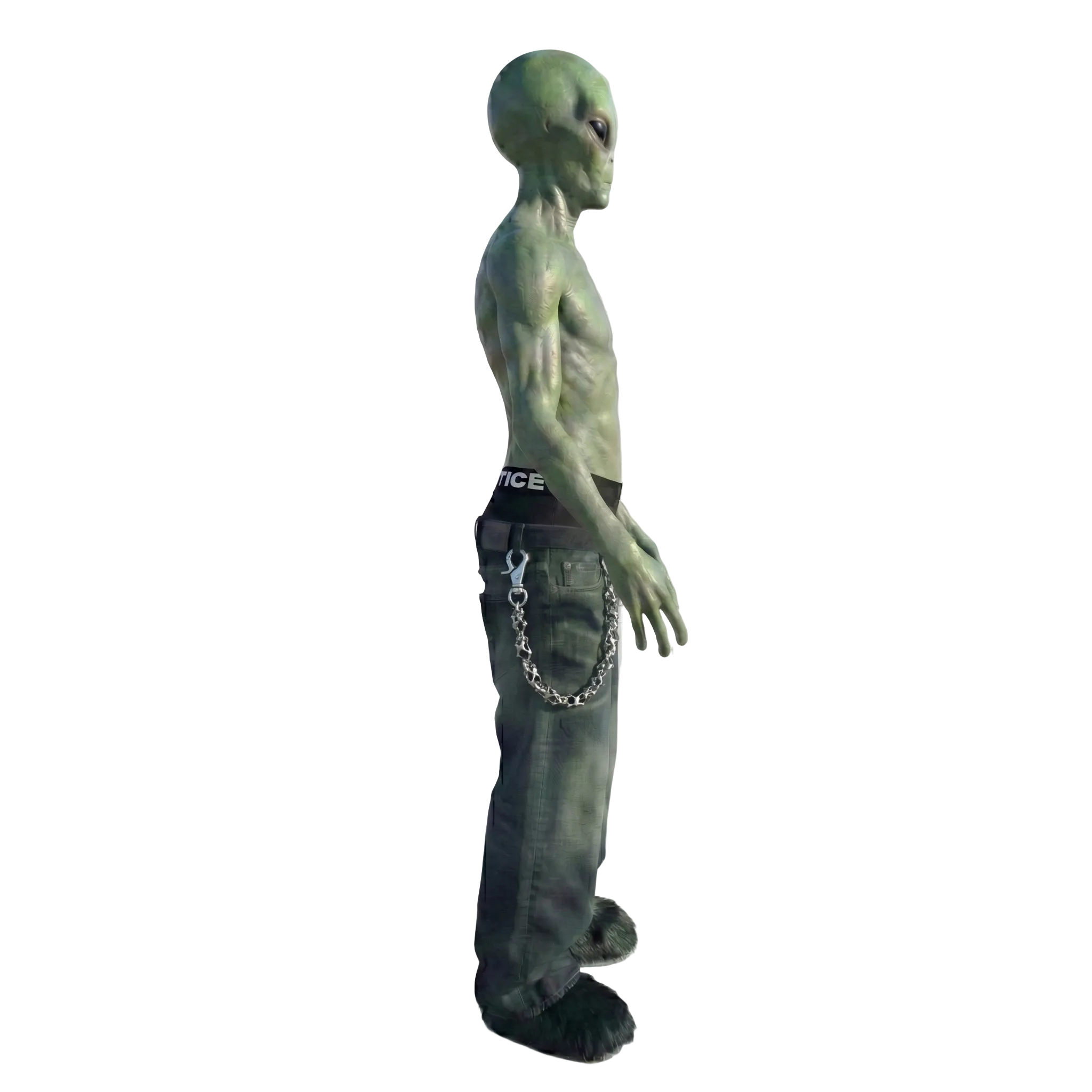 Avant Garde - Wallet Chain